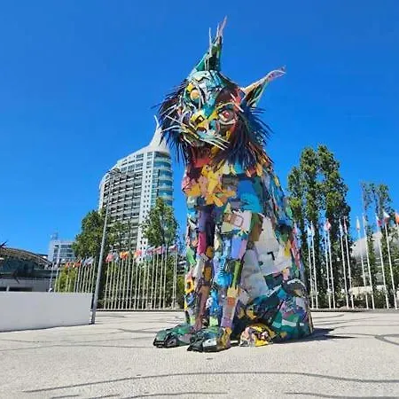 Single Luminous Homestay